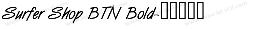 Surfer Shop BTN Bold字体转换